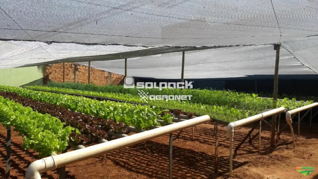 Solpack Agronet