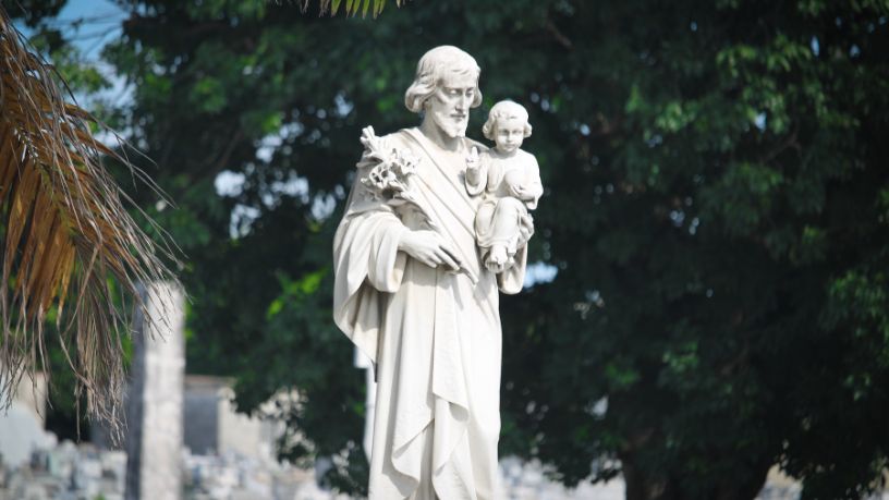 Descubra como os ensinamentos dos Santos Doutores moldam a fé e a reflexão da Igreja.