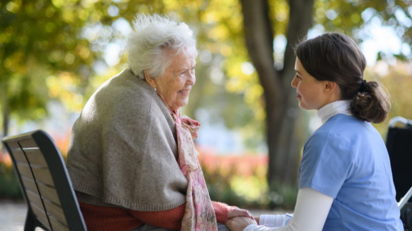 Sindnapi - Sindicato Nacional dos Aposentados, Pensionistas e Idosos