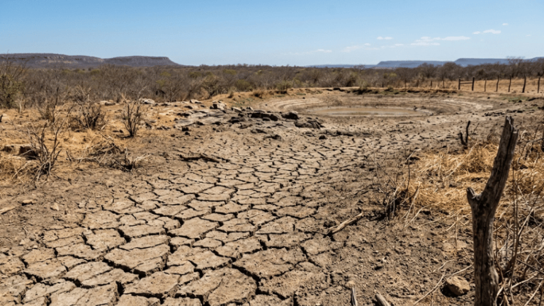 Seca avança no Piauí e reconhecimento federal reforça alerta para água e produção rural