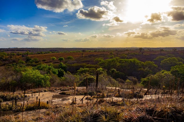 MPF aciona Justiça para garantir demarcação de terra do povo Tabajara em Piripiri Paisagem semiárida com cactos e vegetação sob o céu alaranjado do entardecer