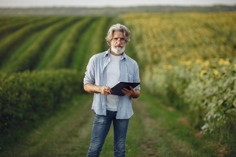 IBGE poderá selecionar 27.330 recenseadores para operação agropecuária de 2027 Agricultor usa um tablet em meio a uma plantação de girassóis.
